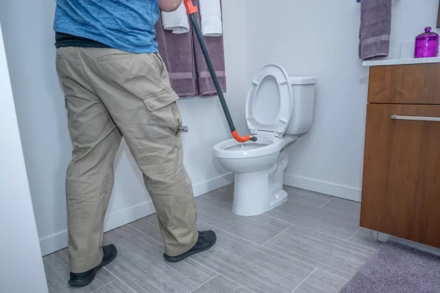 toilet auger