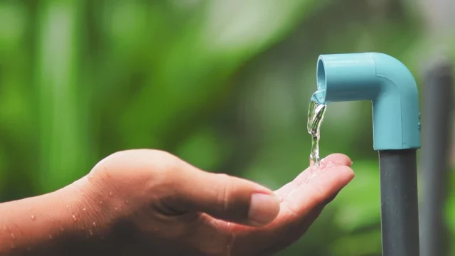 harvesting rain water