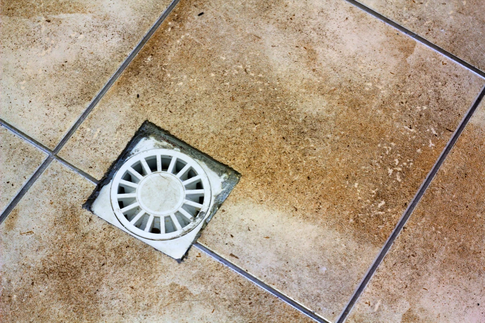 Basement Floor Drain Smell
